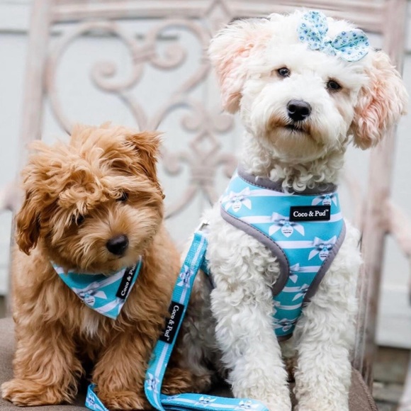 Coco & Pud Audrey Dog Harness, Tiffany Blue/White, X-Small, Small, NWOT - Picture 5 of 9